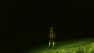 Dominant males have an important duty of care towards the dumb mindless whores