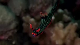 Расслабляющие видео после дрочки