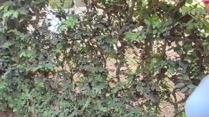 beautiful skinny brunette is filmed by her boyfriend while she changes her blouse on the street