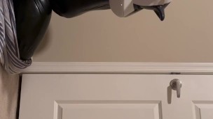 LatexPup Uses VR (No Overlay)