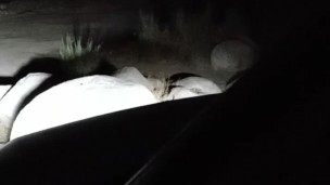 Topless At Kern River