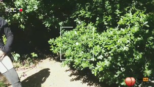 chica se masturba en parque publico amateur